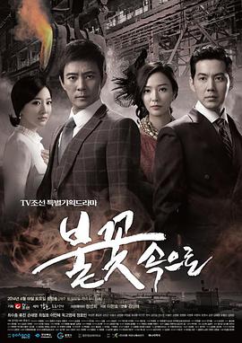 开封优惠网站优化电话